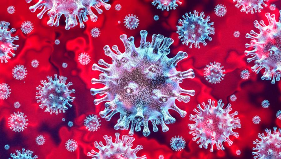 Poradniki na czas epidemii